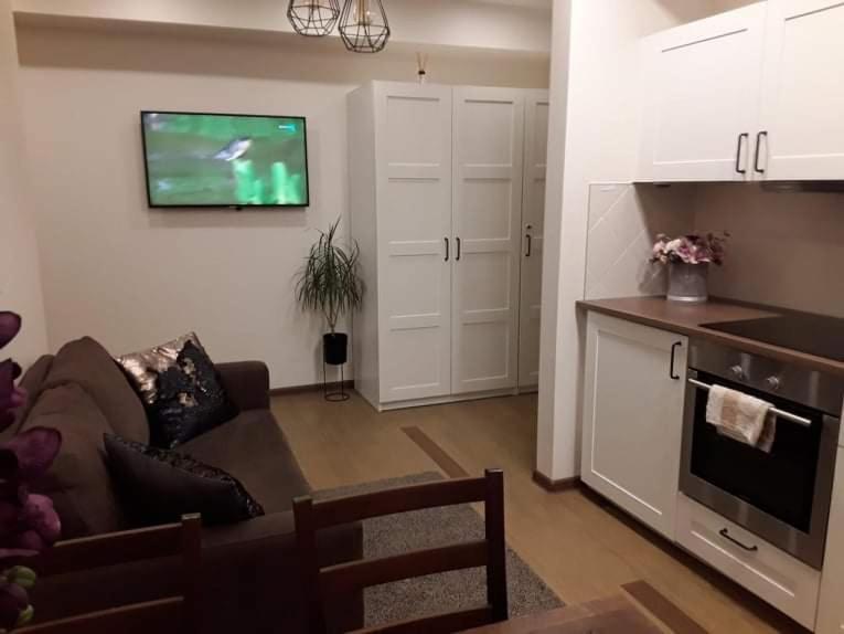 Barbora Apartament Druskininkai Kültér fotó